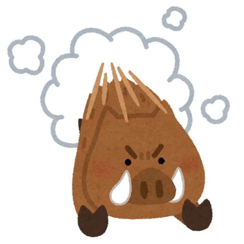 嘴平伊之助の声優さんってどんな人 猪突猛進 タイプ 松岡禎丞さんについて 鬼滅なび