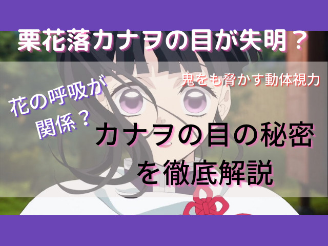 栗花落カナヲの目は失明した 視覚が優れている理由と失明と花の呼吸の関係を徹底解説していきます 鬼滅なび