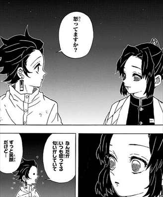 炭治郎と胡蝶しのぶの屋根の上での会話シーンに込められたしのぶの本音 本心とは 鬼滅なび